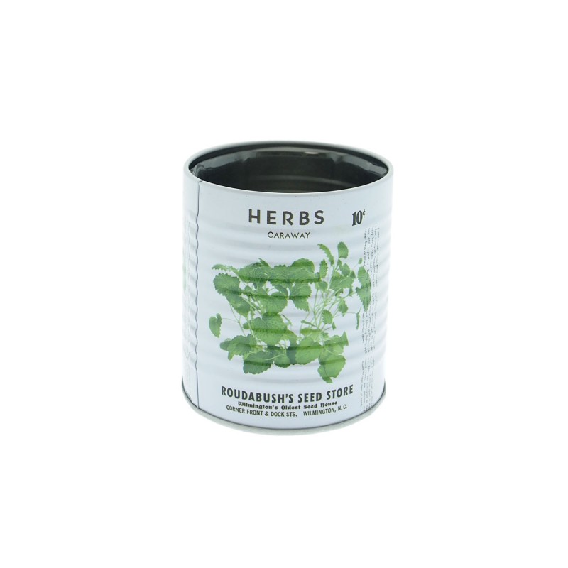 Plant Tin Can Herbs